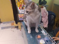 -谜盒子奇幻密室(南屏店)