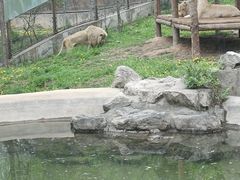 -石家庄市动物园