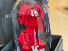 -ROSEONLY诺誓(磐基中心店)
