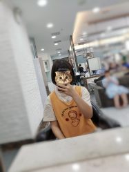 -YESIDO椰岛造型
