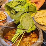 布达拉宫旁的神仙石锅鸡！野菌汤底绝了！