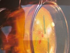 -豫满楼(正光路店)