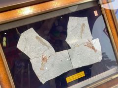 -阿胖龙虾小海鲜(宁国南路总店)