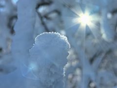 -中旅松花湖滑雪场