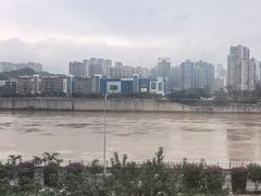 -李子坝梁山鸡(李子坝大鸡哥店)