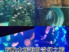 -成都浩海立方海洋公园