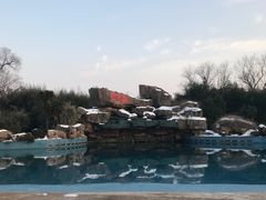 -金孔雀温泉旅游度假村