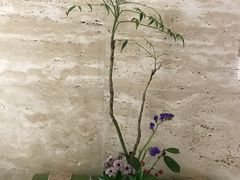 -九华山聚龙大酒店