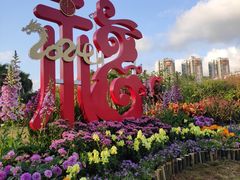 -深圳国际园林花卉博览园