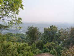 -火炉山森林公园