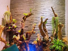 -泰适SPA馆丨精油·按摩·足道(后海地铁口店)