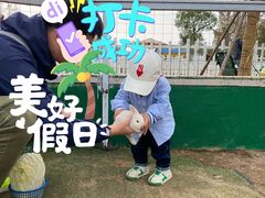 -前小桔亲子创意农场·草莓采摘·露营烧烤