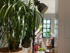 -一尺花园(安和花园店)