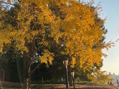 -苏州河梦清园环保主题公园