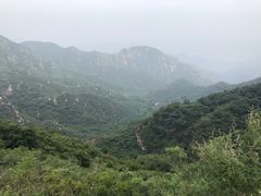 -大岭沟猕猴桃谷风景区