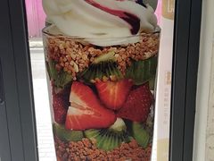 -Salud撒露欧洲冻酸奶(798艺术区店)