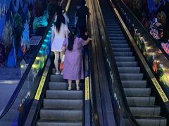 -成都浩海立方海洋公园