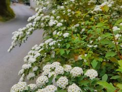 -杭州西湖风景名胜区-满觉陇四眼井