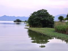 -东钱湖旅游度假区