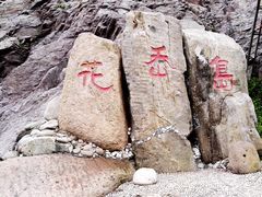 -花岙岛
