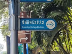 -长洲岛