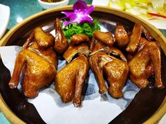 紅燒乳鴿-石头咕(葵蓬店)