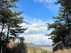 -北京西山国家森林公园