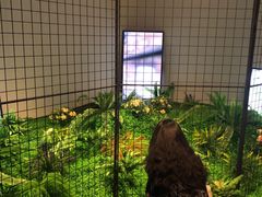 -chi K11艺术空间展览厅