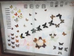 -世界地热博览园