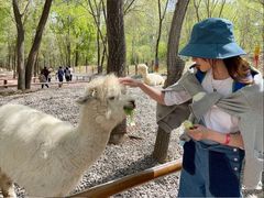 -北京野生动物园