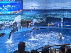 -多彩贵州城极地海洋世界