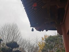 -上海东林寺(金山区)