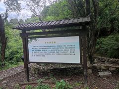 -白水冲瀑布