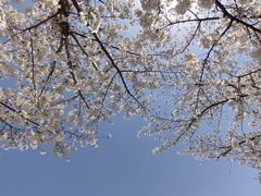 -龙美术馆(西岸馆)