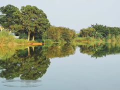 -鹤之洲湿地公园