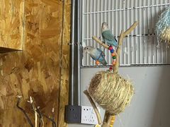 -吾叁·吉趣鸟咖(万科店)