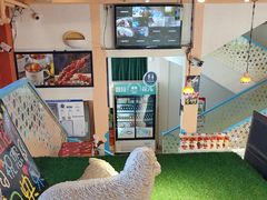 -撒拉花儿·新疆菜·清真(太阳宫店)