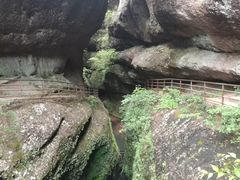 -江西阳明山国家森林公园