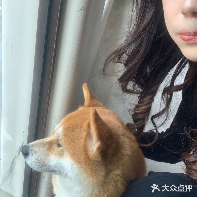 长沙新店｜有景德镇内味了