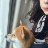 长沙新店｜有景德镇内味了