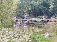 -东莞植物园