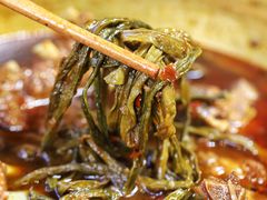 -友乐居羊蝎子(西直门店)
