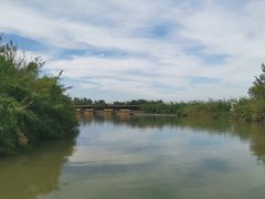 -泗洪洪泽湖湿地景区