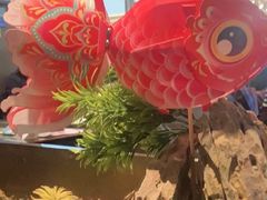 -苏帮袁Sue Cuisine(南开大悦城店)