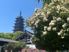 -常熟方塔园
