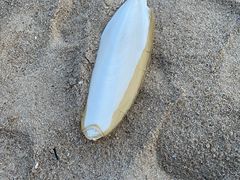 -铭轩中餐厅·海南菜·粤菜(亚龙湾瑞吉店)