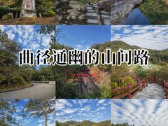 -广州白江湖森林公园