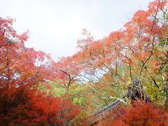 -醍醐寺