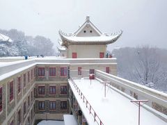 -武汉大学-樱园