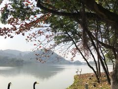 -顺峰山公园